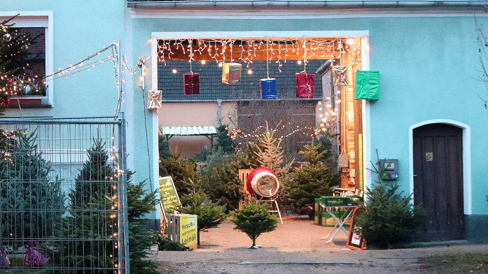 Sie erhalten Weihnachtsbäume in jeder Größe