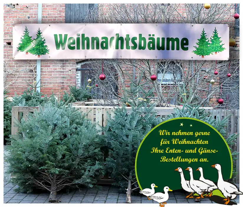 Weihnachtsbäume